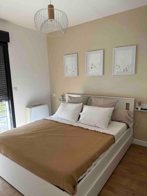 Magnifique T2 Ajaccio Apartment